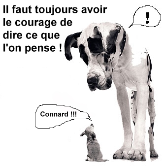 courage fuyons !!!